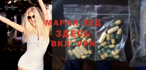 ПСИЛОЦИБИНОВЫЕ ГРИБЫ Гусев