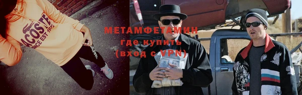 ПСИЛОЦИБИНОВЫЕ ГРИБЫ Гусев