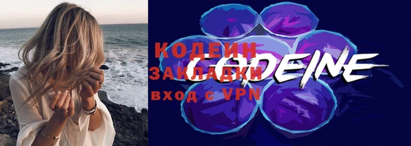 ПСИЛОЦИБИНОВЫЕ ГРИБЫ Гусев