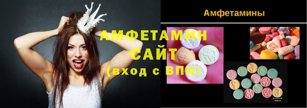 ПСИЛОЦИБИНОВЫЕ ГРИБЫ Гусев