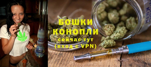 мяу мяу мука Гусь-Хрустальный