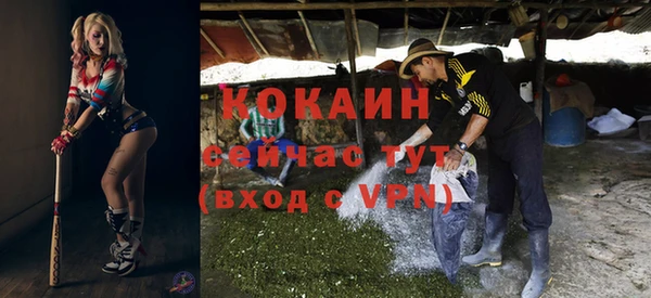 мяу мяу мука Гусь-Хрустальный