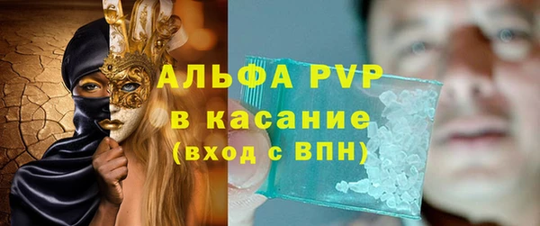 мяу мяу мука Гусь-Хрустальный